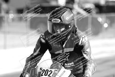 media/Feb-23-2025-2WTD (Sun) [[9604a77d5d]]/1-Around the Pits/